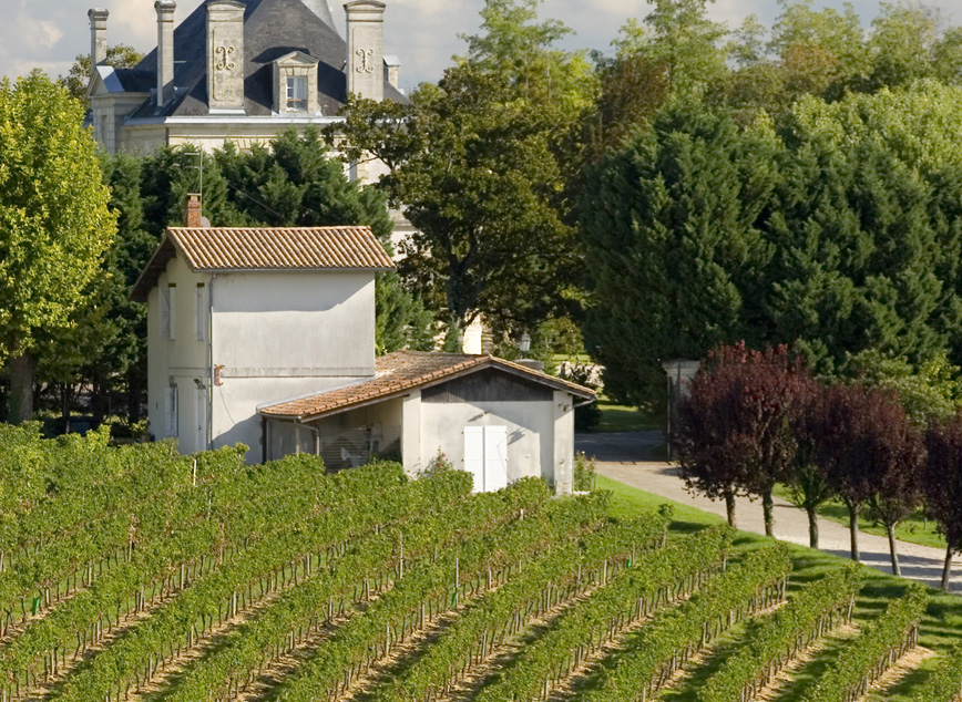 8(8LQG0YbJm1rYud0cisflHS