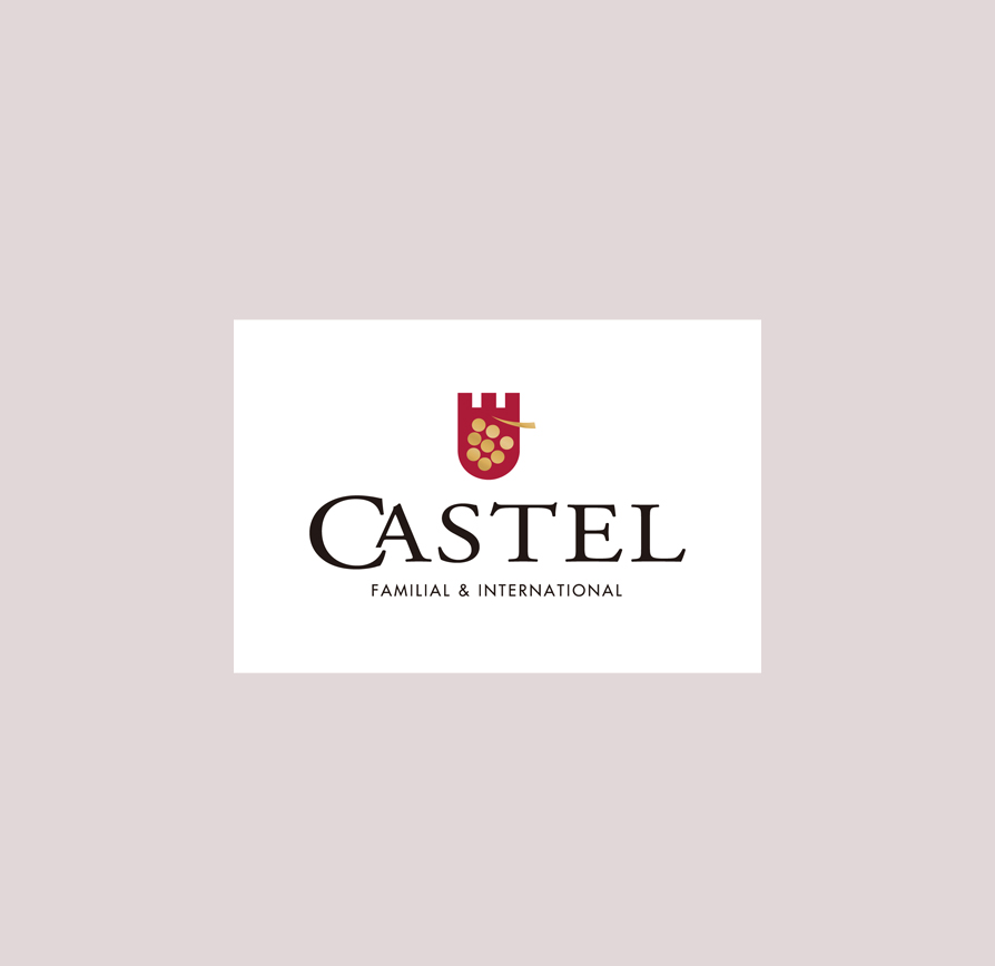 logo_CASTEL