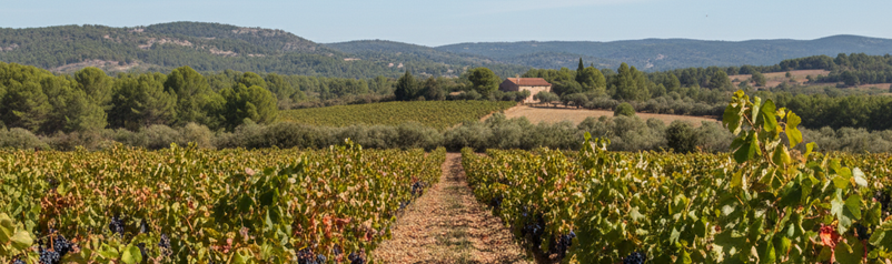 region_languedoc