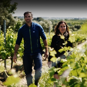 terroir_large_02